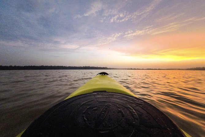 Kayaking to the Black Devil Snail Sandbar Island in Paravur Lake near Varkala - Paravur backwaters meet a shifting sandbar: what you’re really kayaking to