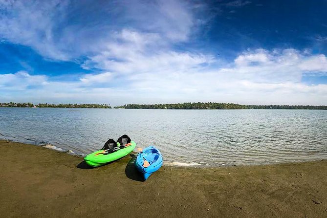 Kayaking to the Black Devil Snail Sandbar Island in Paravur Lake near Varkala - Price and value at about $7.76: what you actually get for the money