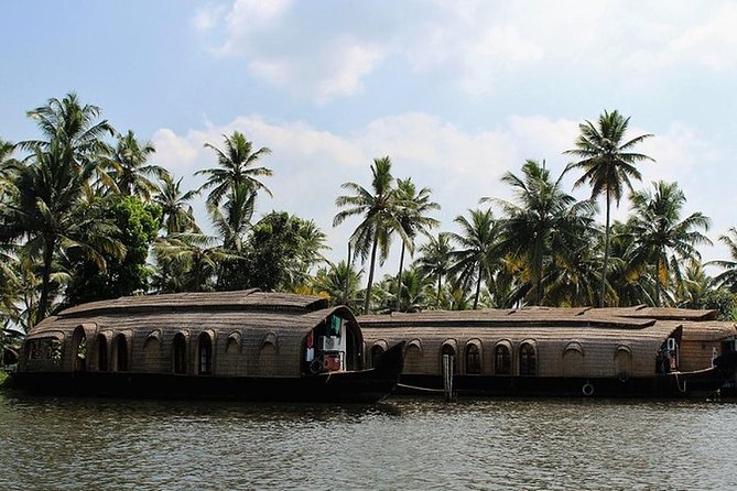 Kochi Private Tour: Overnight Alleppey Backwaters Houseboat Cruise - Kochi to Alleppey: the part that sets the tone