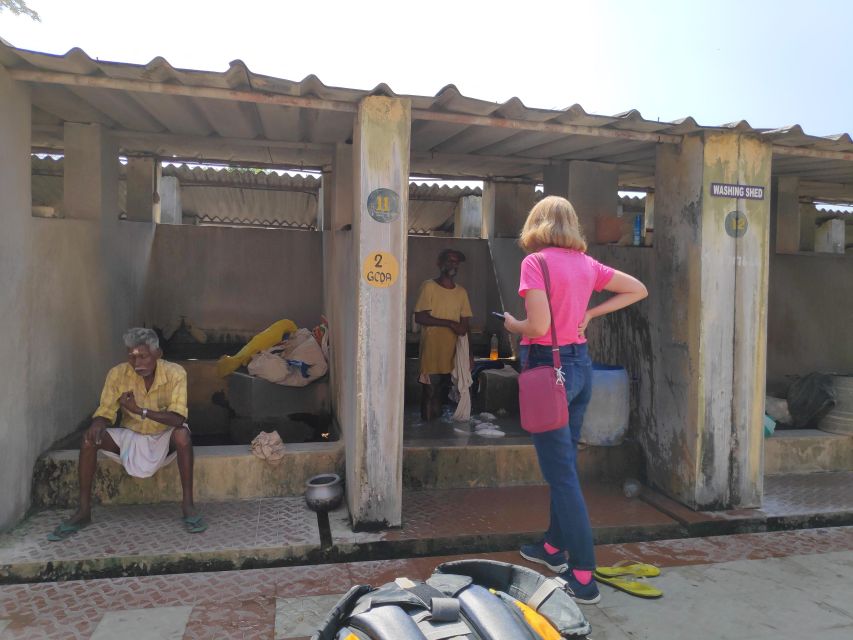 Kochi to Marari/ Kumarakom/ Alleppey eBike/Cycling Tour - Key moments that make this Marari cycling day worth it