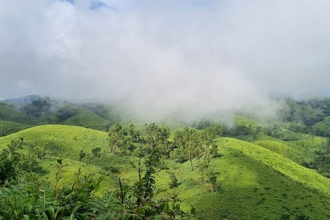 Kochi to Munnar Private Full Day Guided Tour With Hotel Pickup - Key Things I’d Focus On Before Booking