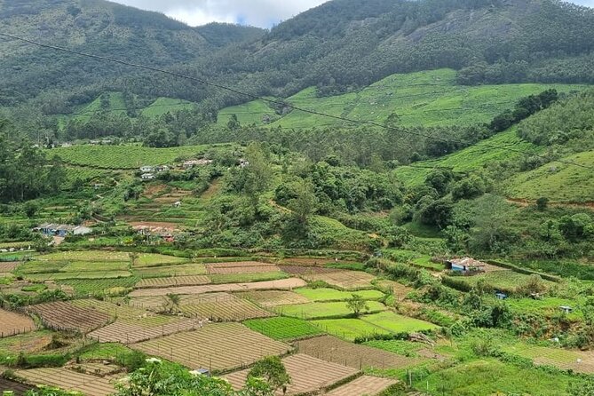 Kochi to Munnar Private Full Day Guided Tour With Hotel Pickup - A Private Kochi-to-Munnar Day That Actually Feels Organized