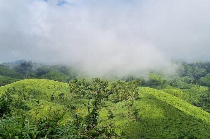 Kochi to Munnar Private Full Day Guided Tour With Hotel Pickup - Hotel Pickup and an AC Vehicle: The Comfort Backbone