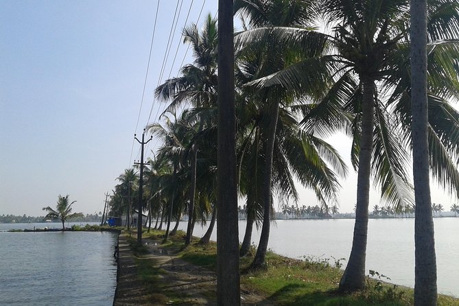 Kochi Village Life Experience tour - The Real Tour of Kochi ! - Key Points to Know Before You Go