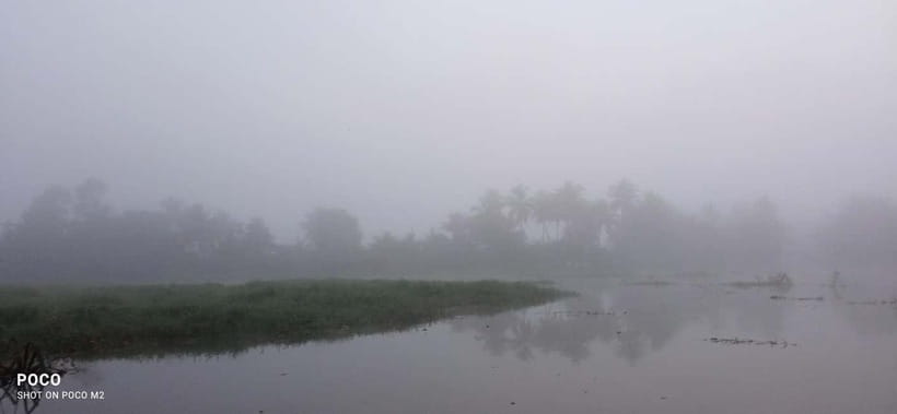 Kumarakom: Sunrise Cruise With Village Life and Local Food - Fishermen casting nets on Vembanad Lake: watch the work, not just the scenery
