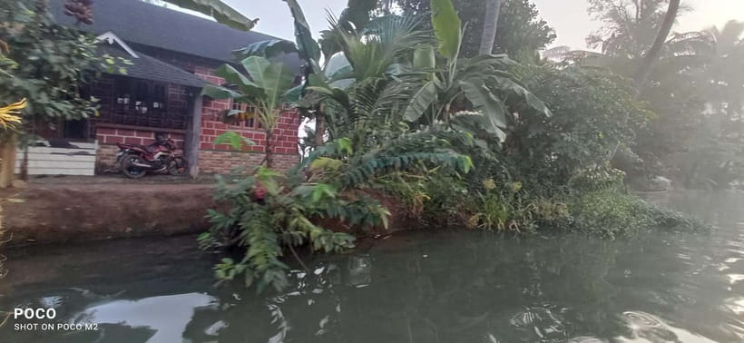 Kumarakom: Sunrise Cruise With Village Life and Local Food - Should you book this Kumarakom sunrise cruise?