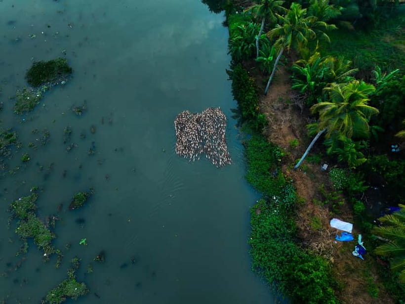 Kumarakom: Sunset Cruise with Village Life and Local Food - Village-life stops: real context, with a little performative edge