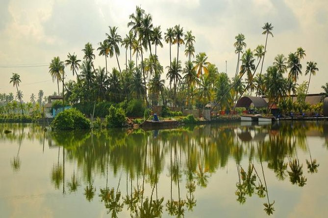 Kumbalangi Village Sightseeing Tour - Getting there smoothly: 9:00 am pickup and an air-conditioned ride