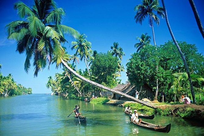 Kumbalangi Village Sightseeing Tour - Lunch and Kerala meal: included fuel before you head back