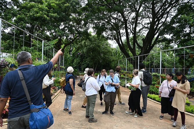 Lalbagh Botanical Garden Early Morning Walk + Breakfast at MTR - A 6:30am Lalbagh Walk: Why the Timing Works