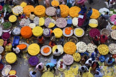 Lalbagh+Bull Temple+Tipu Palace+Market+Lunch=Bangalore City Tour - Price and What You Actually Get for Around $39.72