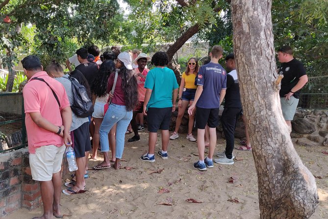 Mahabalipuram walking tour by certified travel company - Ganesh Ratha Temple and the Mahabalipuram Lighthouse finish