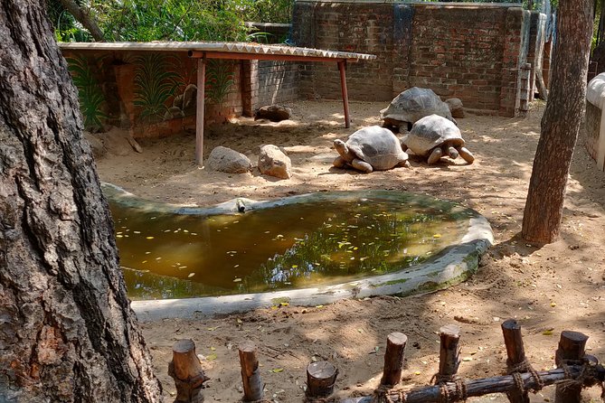 Mahabalipuram walking tour by certified travel company - Price and value: what $47 buys you in this part of India