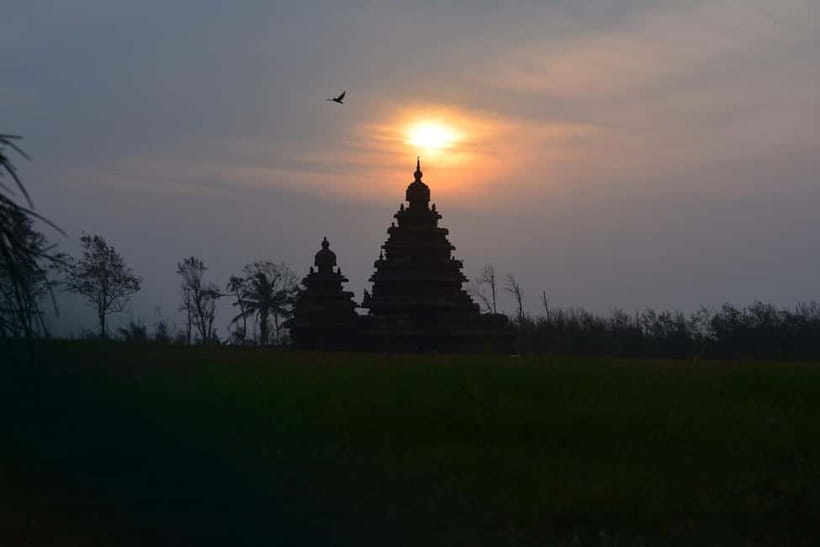 Mahabalipuram walking tour with local guide and lunch - Key things to love about this Mahabalipuram tour