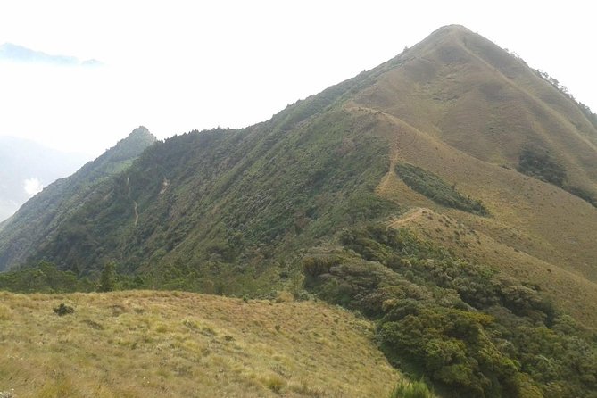 Meesapulimala Sunrise trek( By Munnar Info) - Meesapulimala at sunrise: why this timing matters
