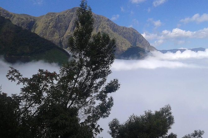 Meesapulimala Sunrise trek( By Munnar Info) - Lunch on the mountain: what’s included and how to plan around it
