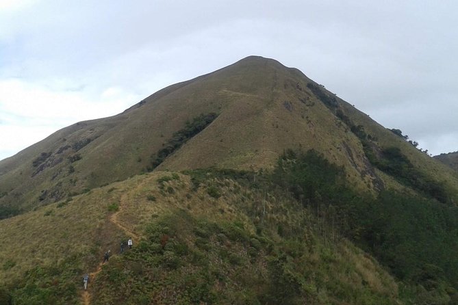 Meesapulimala Sunrise trek( By Munnar Info) - The trail mix: forests, pine plantations, meadows, and what to watch for