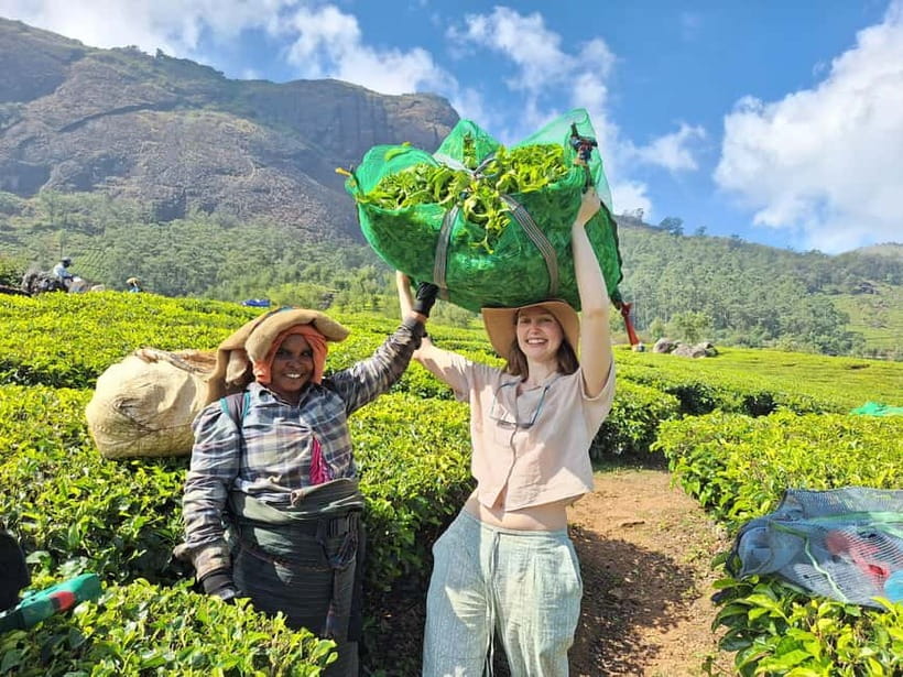 Mountain hiking in Munnar (Half day ) - Key highlights worth planning for