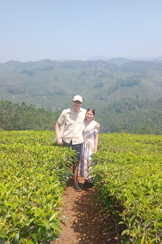 Mountain hiking in Munnar (Half day ) - Tea plantations, grasslands, and shola forest patches