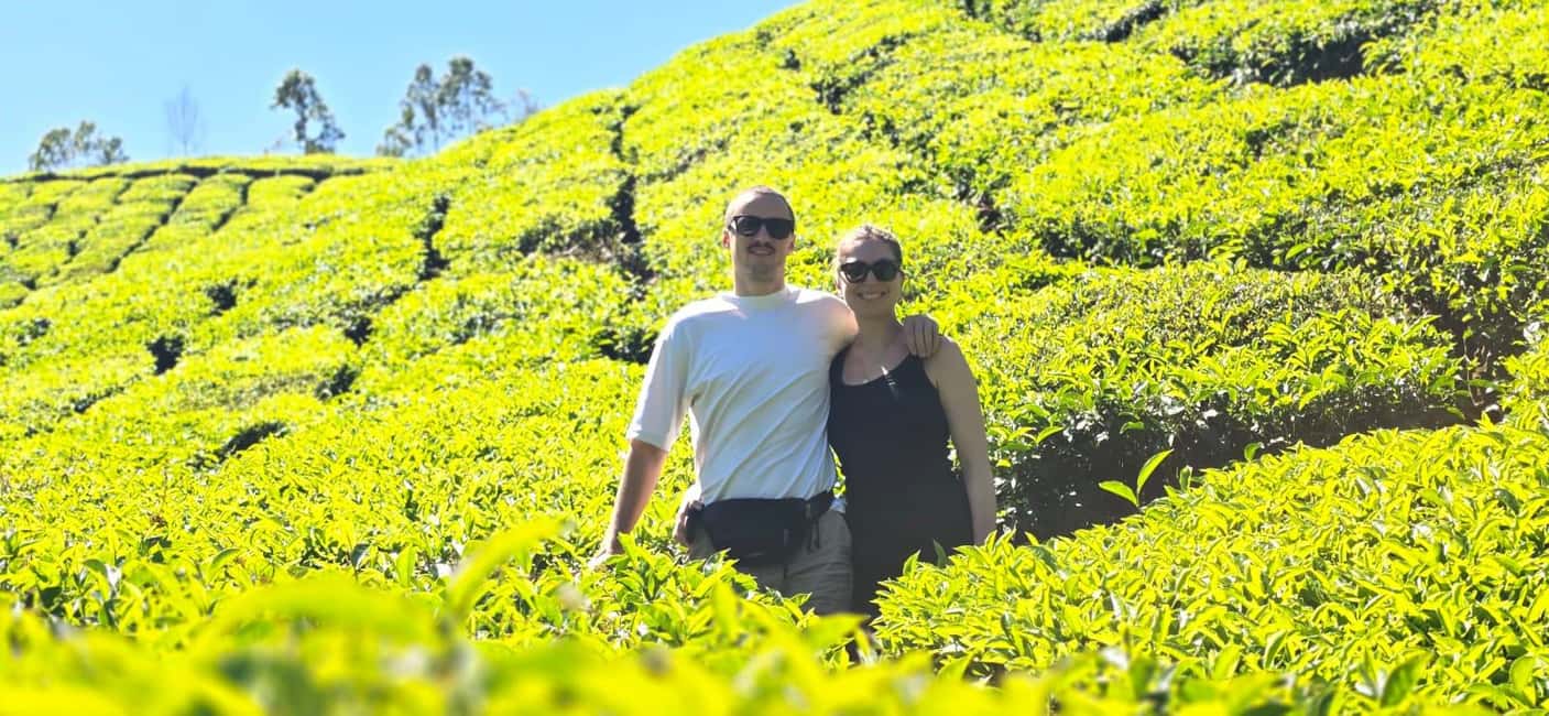 Munnar: Anakulam Jeep Safari to Explore Wild Elephants - Perumbankuthu and 33 Waterfalls: lots of motion, but the views come fast