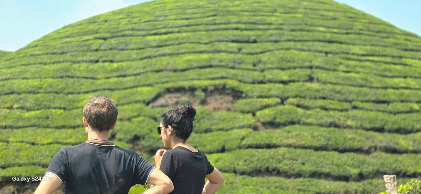 Munnar: Anakulam Jeep Safari to Explore Wild Elephants - Getting to Anakulam from Munnar: the jeep ride plus tea-estate stops