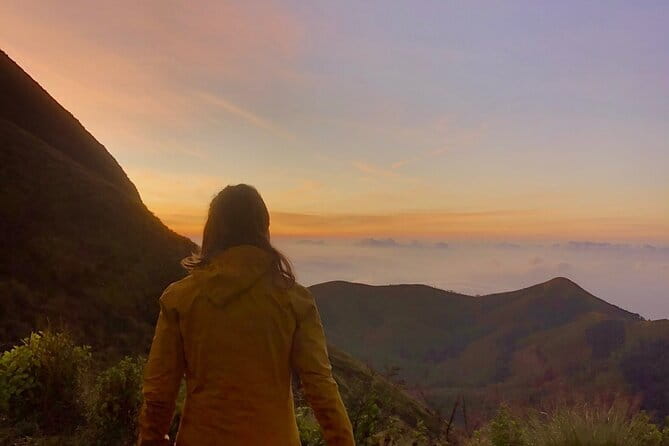 Munnar Daily Tour - Key Highlights You’ll Feel Right Away