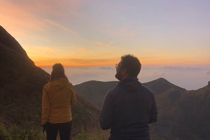 Munnar Daily Tour - Two Days of Munnar Vibes: Tea Stops to Meesapulimala Peak