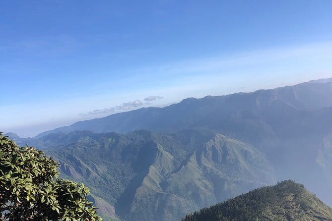 Munnar Daily Tour - Day 1: Top Station Views, Tea Country Stops, and the Base Camp Night