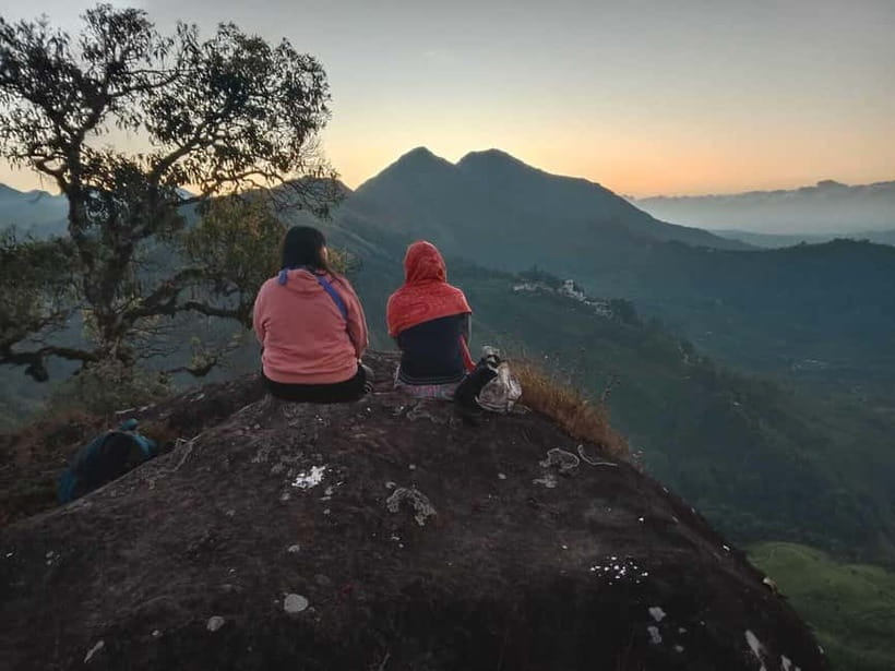 Munnar: Half day Guided Trek - Key Trek Takeaways in Plain English