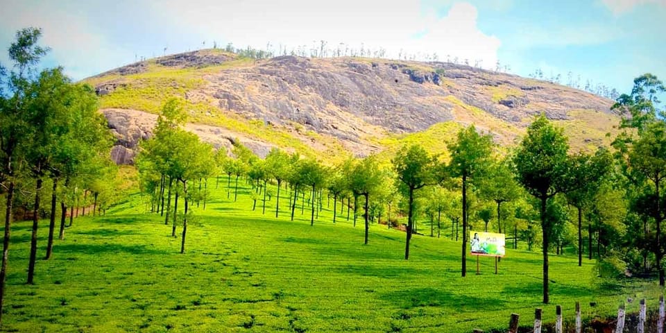 Munnar: Local Highlights Day Tour with Top station Visit - Top Station and tea-country viewpoints on one packed day