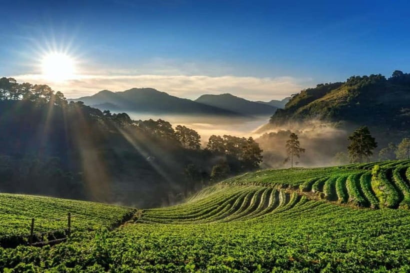 Munnar: Local Highlights Day Tour with Top station Visit - Getting around and what walking on unpaved roads feels like