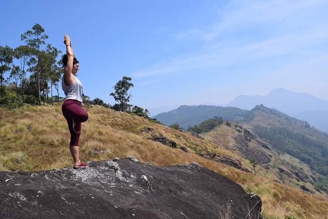 Munnar Mountain Trekking - Spice Plantation and Gardens: More Than Just Tea