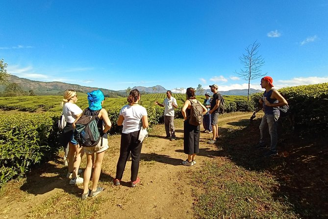 Munnar Mountain Trekking - What the 6-Hour Timing Feels Like (and Who It’s Best For)