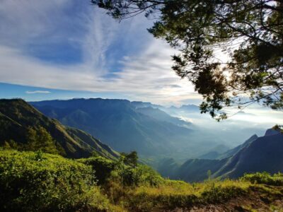 Munnar Private Day Trip - The 12-hour reality check: timing, drive time, and comfort