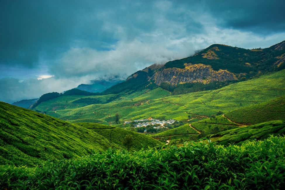 Munnar : Private One Day Tour from Kochi. Free Pickup-Drop - A private one-day Munnar hit from Kochi, minus the extra night