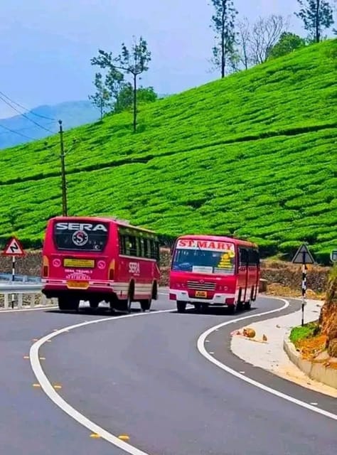 Munnar : Private One Day Tour from Kochi. Free Pickup-Drop - Price and value: what $98 gets you, and what it doesn’t