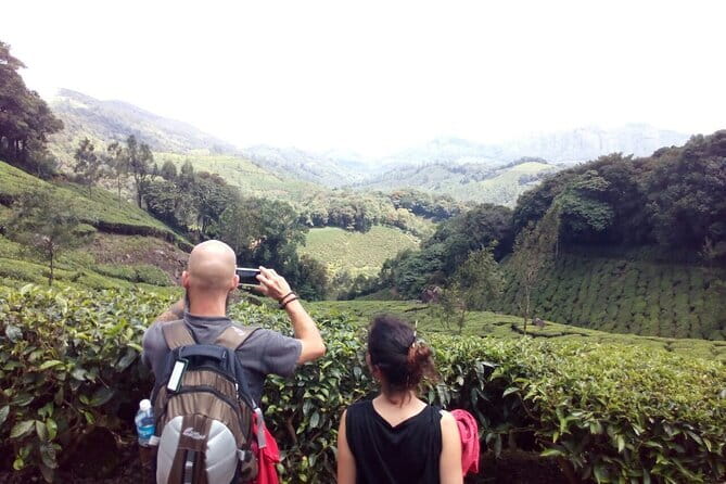 Munnar Tea Plantation Evening walking with Sunset View - Key Highlights You’ll Actually Care About