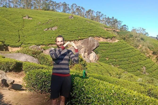 Munnar Tea Plantation Evening walking with Sunset View - Who This Trek Suits Best (and Who Should Reconsider)