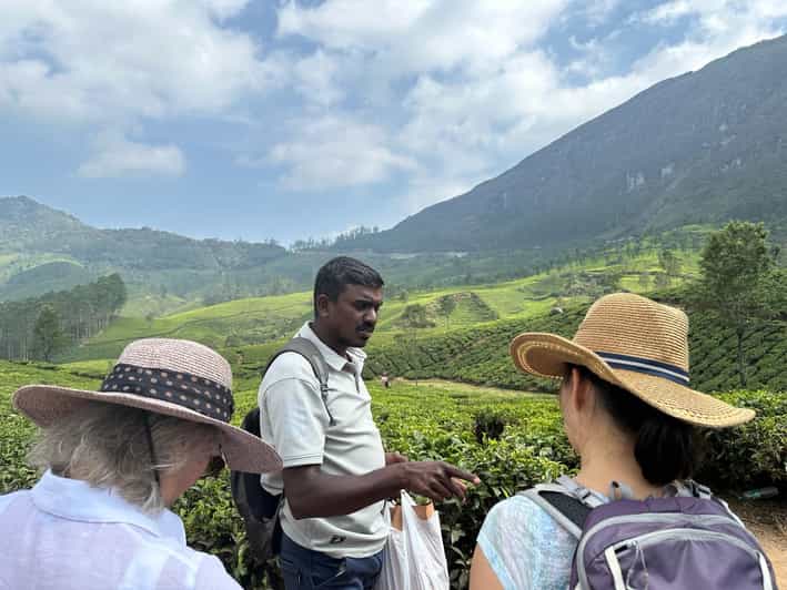 Munnar: Tea trail, Tea Factory, and Tea Tasting Tour - FAQ