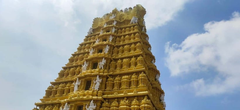 Mysore: Palace, Art Gallery & Devaraja Market Walking Tour - Devaraja Market (30 minutes): fruit, flowers, and the easiest kind of people-watching