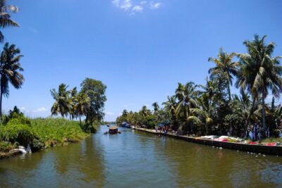 Private Alleppey Backwater Houseboat DayTour with Taxi from Kochi - Lunch at Meenappalli Kayal: timing, setting, and what you’ll eat