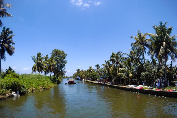Private Alleppey Backwater Houseboat DayTour with Taxi from Kochi - Lunch at Meenappalli Kayal: timing, setting, and what you’ll eat