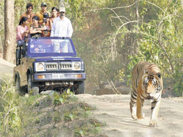 Private Bannerghatta National Park Day Excursion - Zoo time at Bannerghatta: what you get and why it’s included
