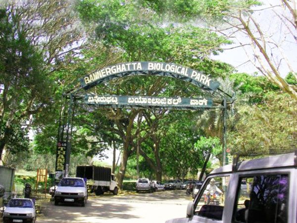 Private Bannerghatta National Park Day Excursion - The Grand Safari circuit: herbivores to big cats (how it’s paced)