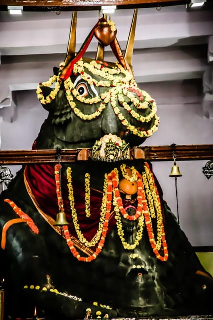 Private car and driver Bangalore Excursion to Bannerghatta - Key takeaways before you go