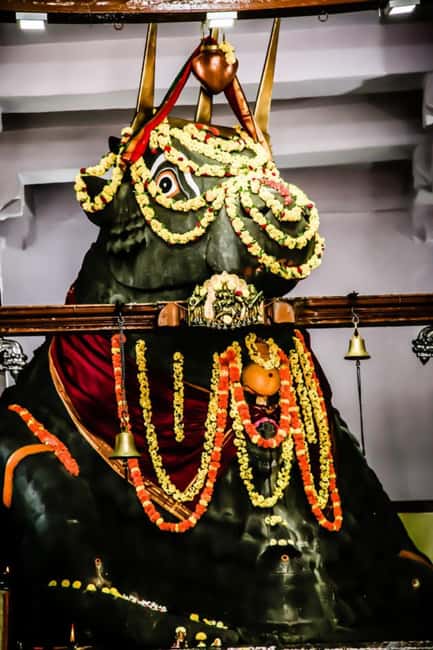 Private car and driver Bangalore Excursion to Bannerghatta - Bull Temple: the giant Nandi that makes the stop worth it