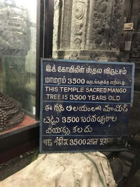 Private Day Tour: Explore Silk city Kanchipuram from Chennai - Vaikunta Perumal and Pallava Royal Storytelling in Stone