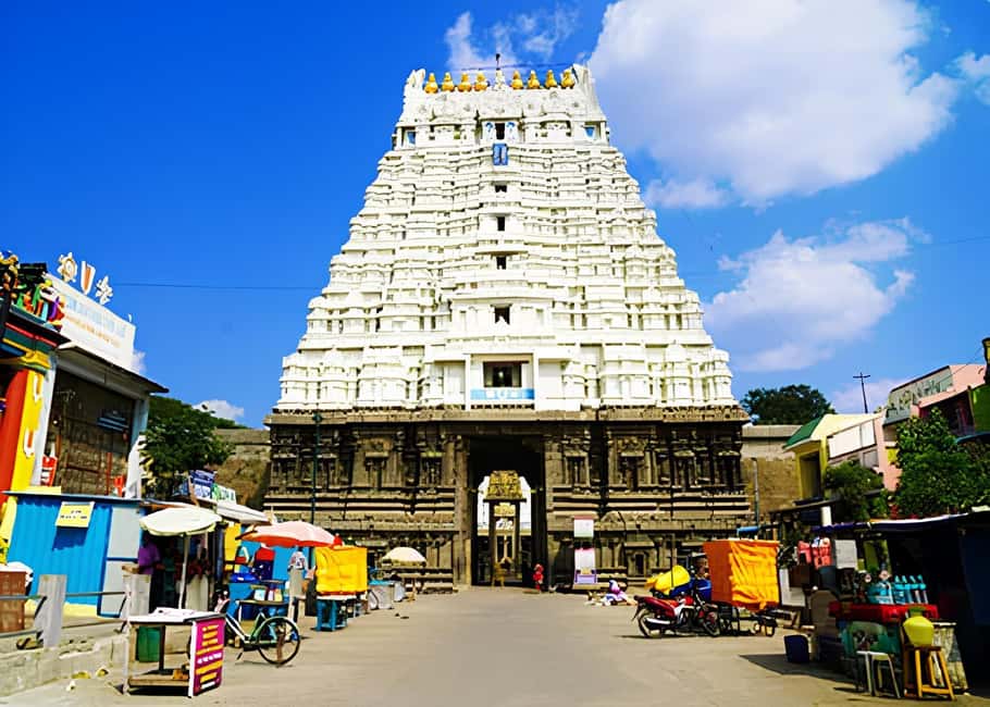 Private Day Tour: Explore Silk city Kanchipuram from Chennai - Varadaraja Perumal: Divya Desam, Gopurams, and a Different Temple Mood