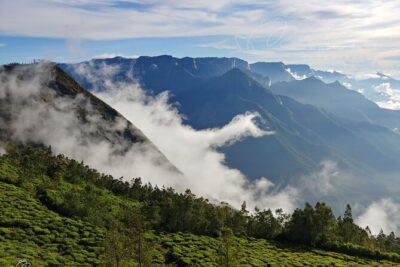 Private Day Trip to Munnar from Kochi (Cochin) - The 4-Hour Western Ghats Drive in a Private AC Vehicle