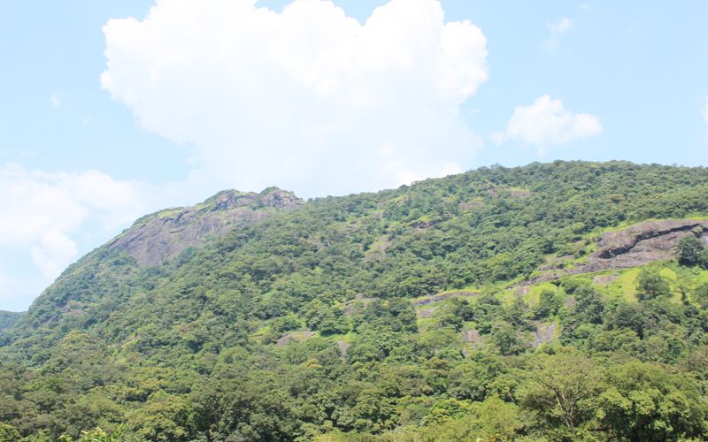 Private Full day Nandi Hill Excursion with Lunch - Tipu’s Drop: the 600-meter cliff stop that grabs your attention